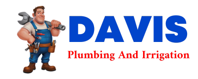 Trusted plumber in CARMINE